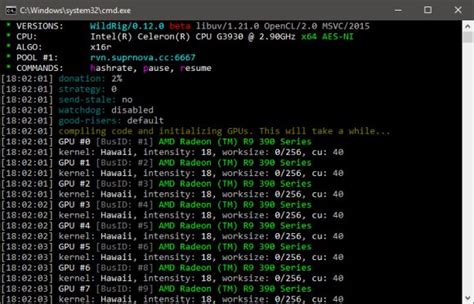 Скачать WildRig Multi 0.19.0 (AMD GPU miner)