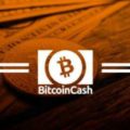 70% of the Bitcoin Cash network hash is captured by unknown miners. There are 51% attack risks