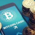 The first half of the reward for miners passed in Bitcoin Cash