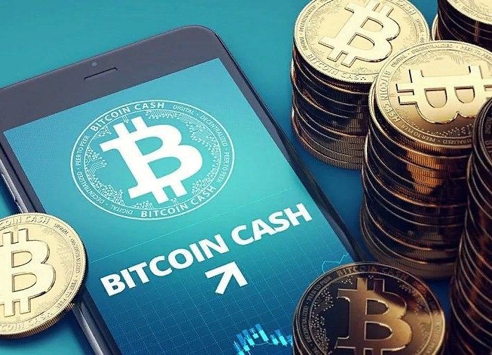 The first half of the reward for miners passed in Bitcoin Cash