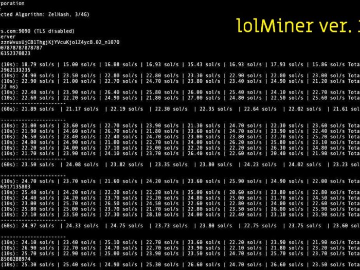 lolminer 1.24a