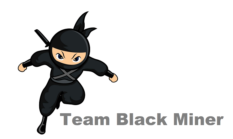 Как начать майнинг с TeamBlackMiner