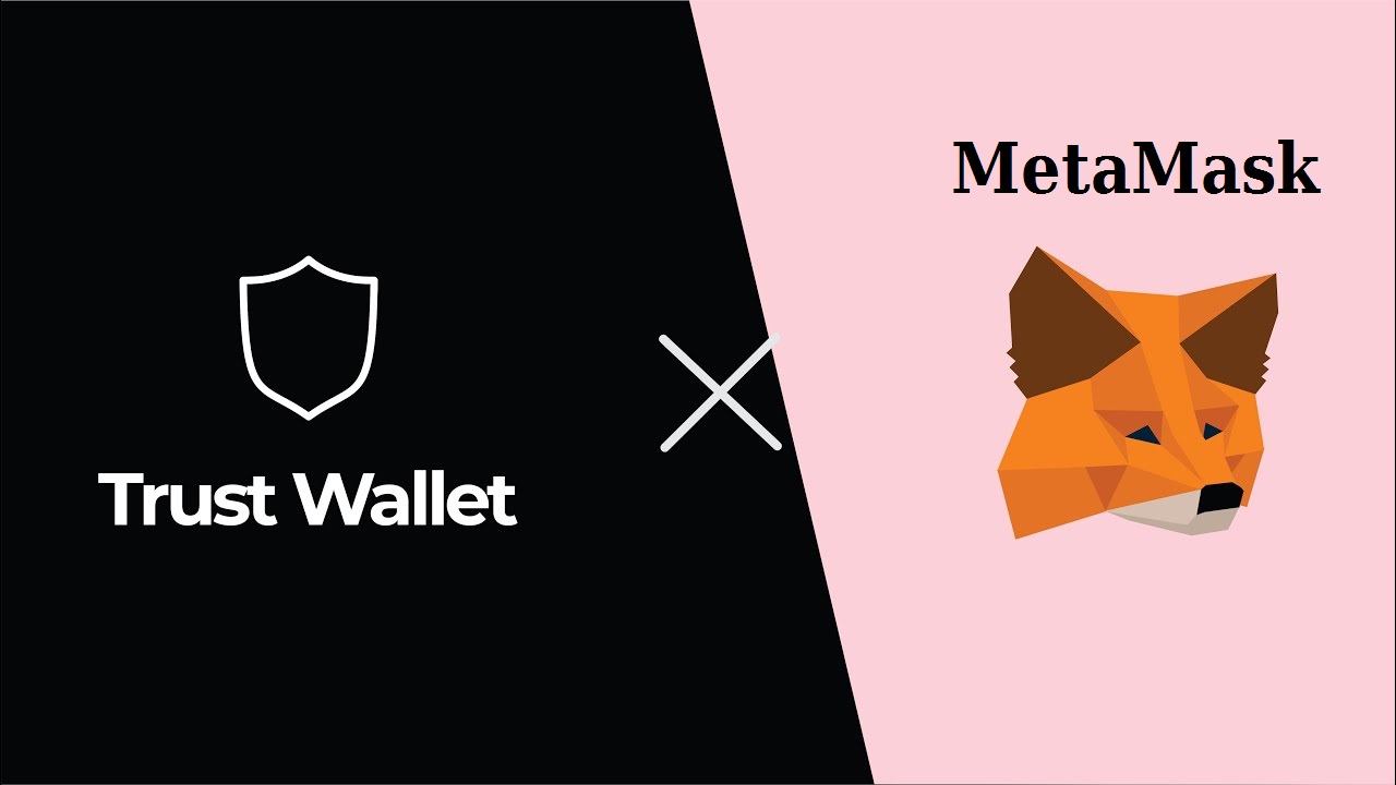 Trust Wallet and Metamask wallets. Where is the best place to store cryptocurrency?
