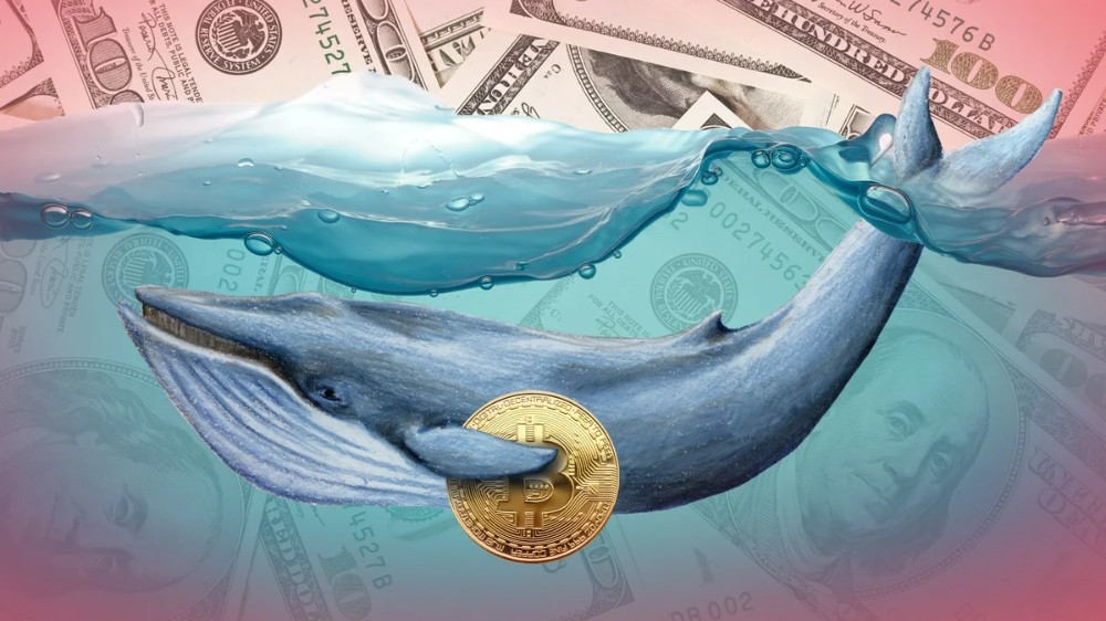 “Whales” in cryptocurrency. Benefit or harm